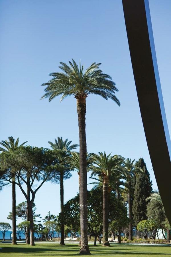 Apartment Le Prefecture - Luxueux F3 En Duplex, Ascenseur, Coeur Vieux-nice